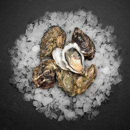 Gillardeau Østers