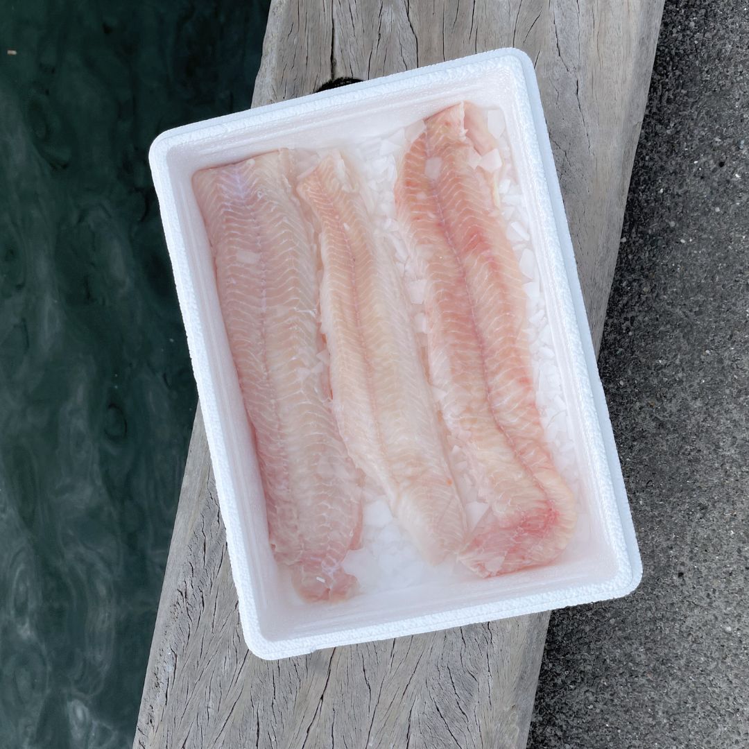 Havkatfilet - Kystfisken