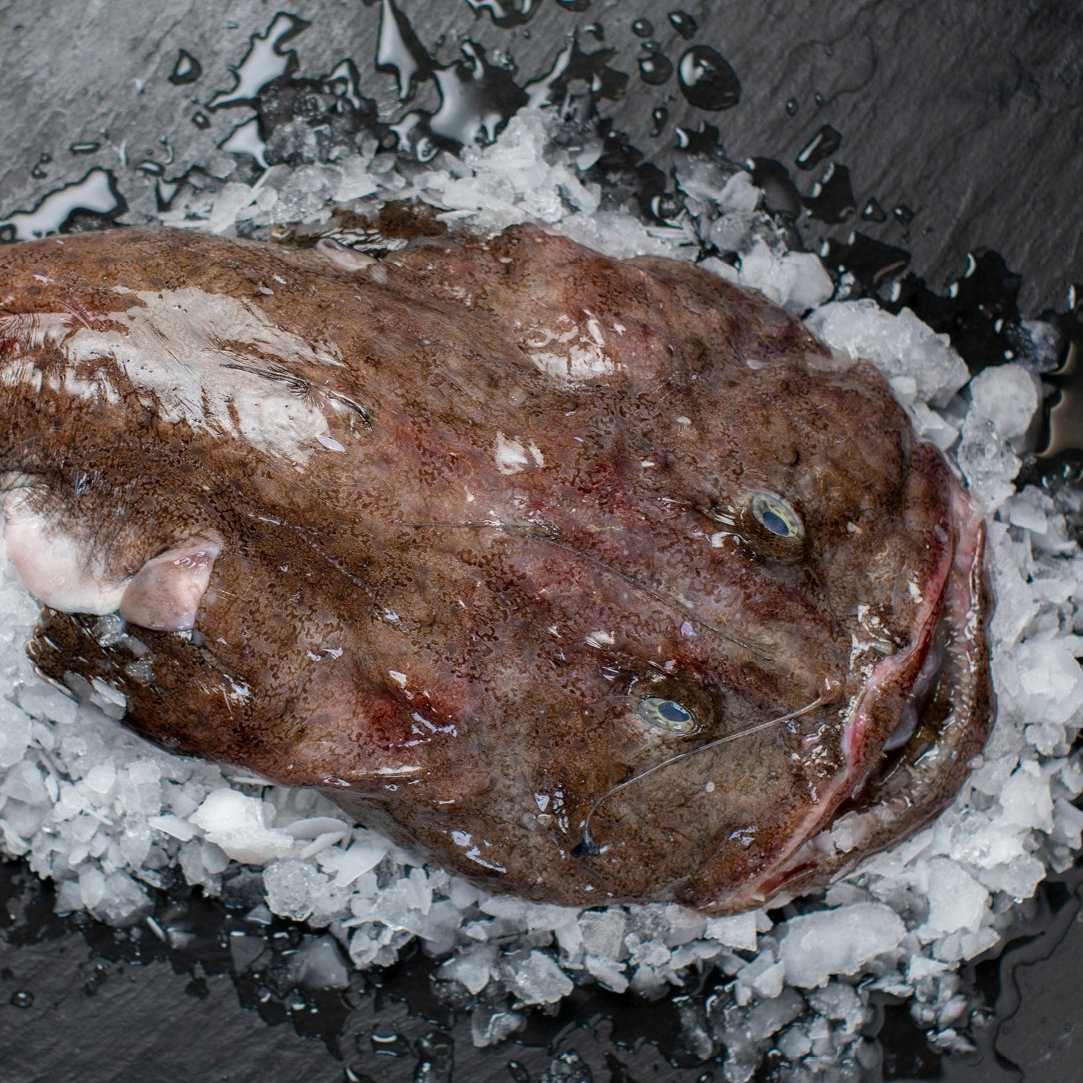 Havtaskefilet - Kystfisken