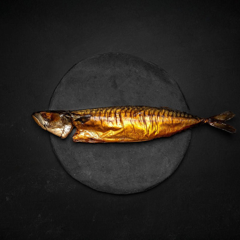 Makreller | Køb frisk makrel hos Kystfisken. Klik her!