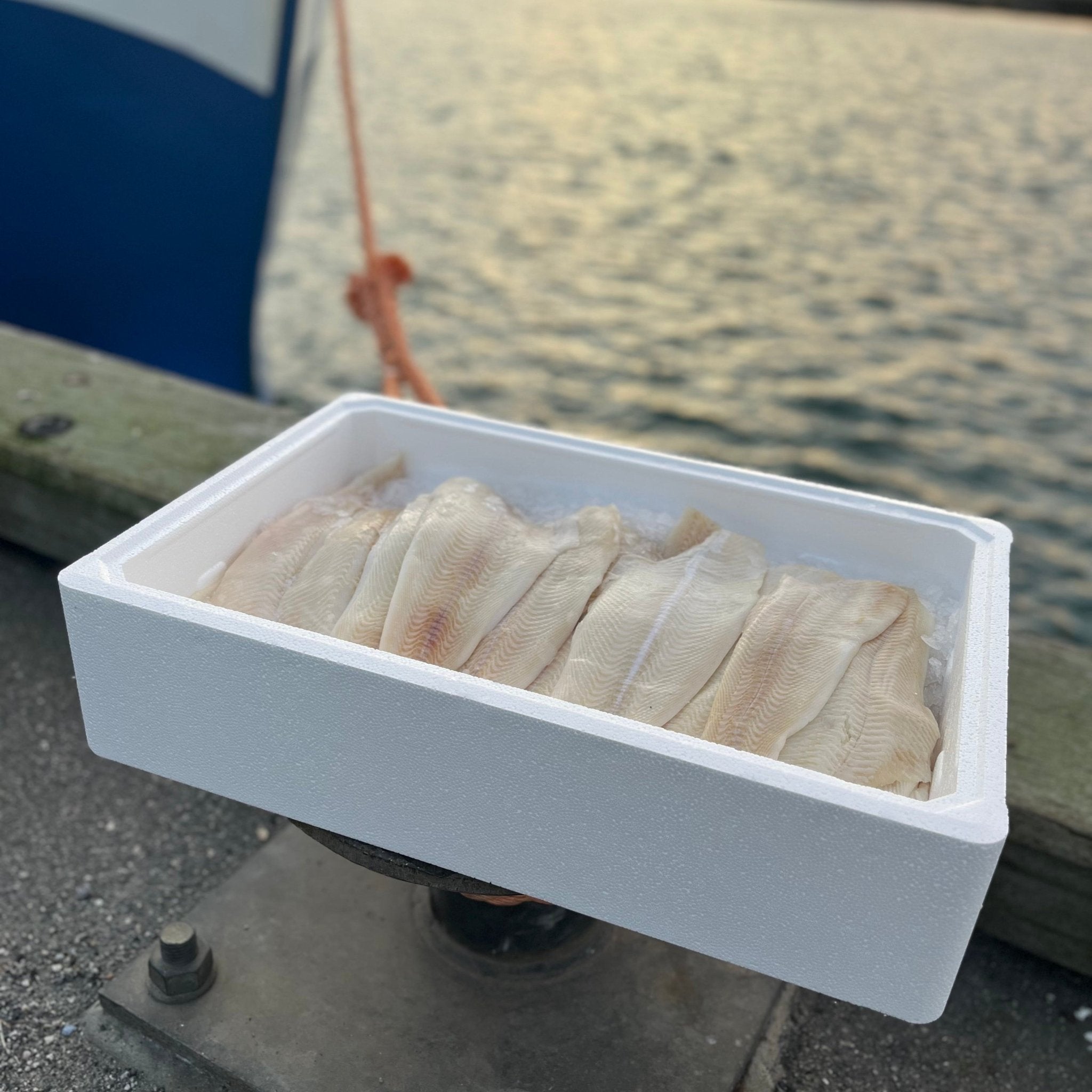 Nyhed: Hellefiskefilet - Kystfisken