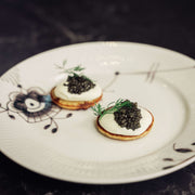 subcollection - Forretter & Appetizers