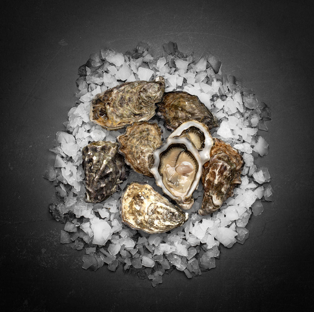 Perle Blance østers (Nytår) - Kystfisken