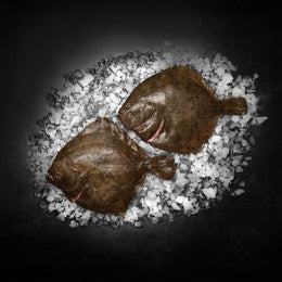 Små hele pighvar