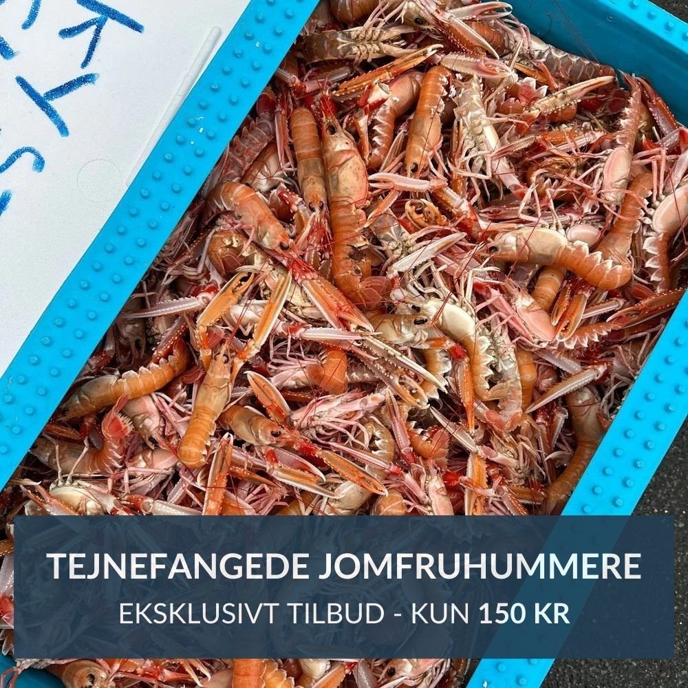 Prøv igen: Tejnefangede jomfruhummere - Eksklusivt tilbud - Kystfisken