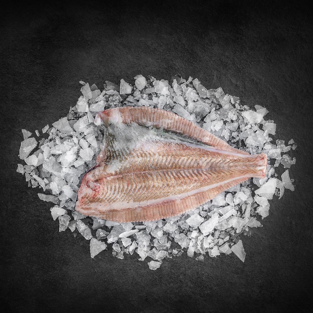 Rødspætte flået - Kystfisken