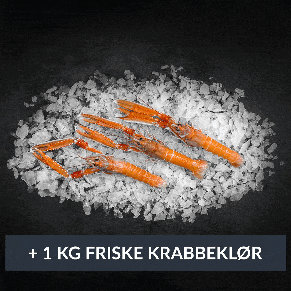 Krabbeklør | Køb krabbeklør online - dag-til-dag levering! Krabbeklør | Køb krabbeklør online - dag-til-dag levering!