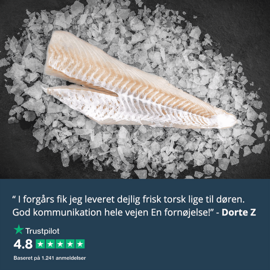 Frisk Fisk Bestil Fisk Online Til Direkte Levering Fra Kystfisken frisk-fisk-bestil-fisk-online-til-direkte-levering-fra-kystfisken