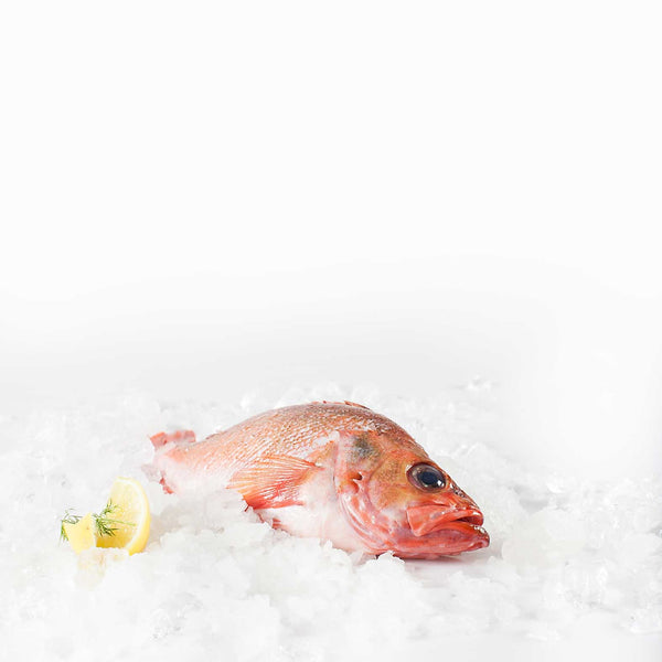 Skarp pris: Rødfiskefilet (Uden skind)